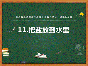 蘇教版三年級上冊科學(xué)11.把鹽放到水里（第一課時）教學(xué)課件.ppt
