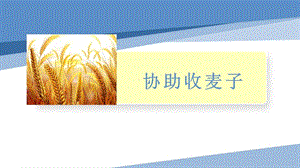 小學勞動與技術五年級-11.協助收麥子（課件）.pptx
