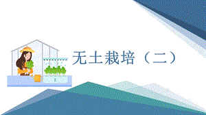 小學勞動與技術(shù)六年級13.無土栽培（二）（課件）.pptx