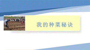 小學勞動與技術四年級-我的種菜秘訣（課件）.pptx