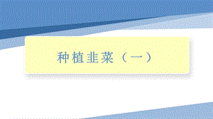 小學勞動與技術四年級-種植韭菜（一）（課件）.pptx