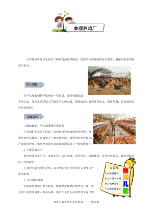 小學勞動與技術二年級-參觀養雞廠（教案）.docx