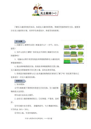 小學勞動與技術六年級12.無土栽培（一）（教案）.docx