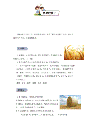 小學勞動與技術五年級-11.協助收麥子（教案）.docx