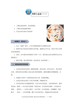小學勞動與技術五年級-7.飼養小金魚（一）（教案）.docx