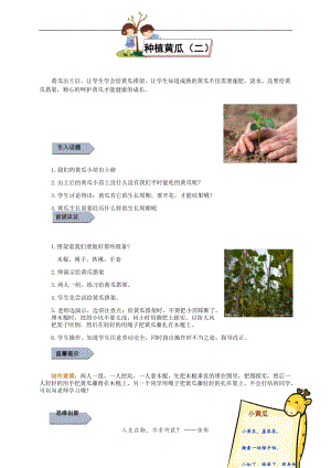 小學(xué)勞動(dòng)與技術(shù)三年級(jí)-9.種植黃瓜（二）（教案）.docx