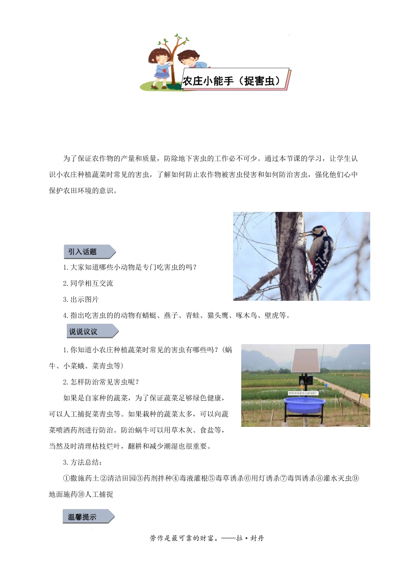 通用版二年級勞動與技術課件ppt+教案（校本課全冊打包）.rar