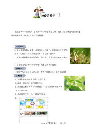 小學勞動與技術一年級-8.神奇的種子（教案）.docx