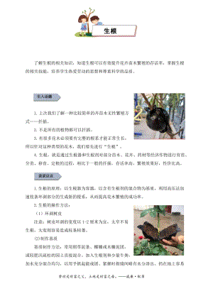 小學勞動與技術六年級6.基地小專家（生根）（教案）.docx