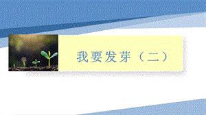小學勞動與技術四年級-我要發(fā)芽（二）（課件）.pptx