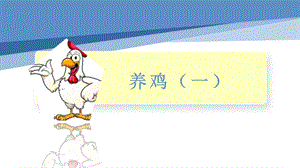 小學勞動與技術五年級-14.養雞（二）（課件）.pptx