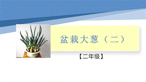 小學勞動與技術二年級-盆栽大蔥（二）（課件）.pptx