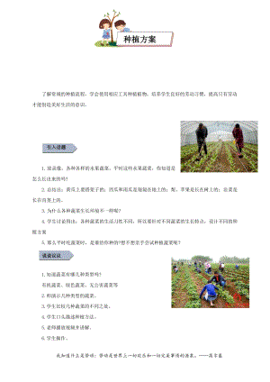 小學勞動與技術四年級-種植方案（教案）.docx