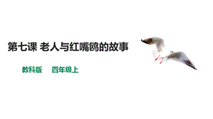 教科版（云南）四上信息技術第7課老人與紅嘴鷗的故事課件.pptx