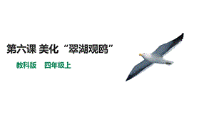 教科版（云南）四上信息技術第6課美化“翠湖觀鷗”課件.pptx