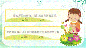 部編版三上語文習作：我們眼中的繽紛世界課件（重慶部級公開課）.pptx