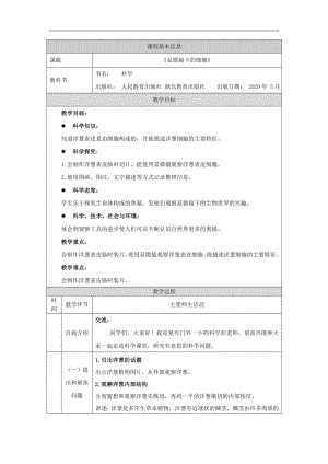 人教鄂教版五年級上冊科學3.9顯微鏡下的細胞教案.doc
