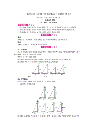 北師大版九年級下冊數(shù)學(xué)教案（全冊共85頁）.doc