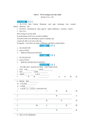 人教版九年級英語Unit 13　We're trying to save the earth!教案.doc
