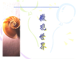 人教版五年級下冊美術(shù)《微觀世界》課件.ppt