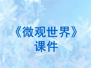 人教版五年級下冊美術《微觀世界》課件03.ppt