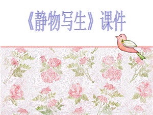 人教版五年級下冊美術《靜物寫生》課件02.ppt