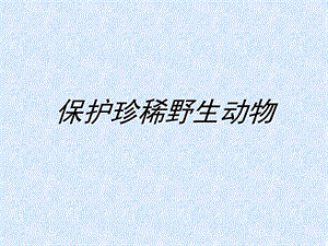 人教版三年級下冊美術保護珍稀野生動物課件.ppt
