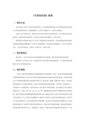 人教版三年級上冊美術天然的紋理教案1.doc