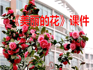人教版三年級上冊美術《美麗的花》課件1.ppt