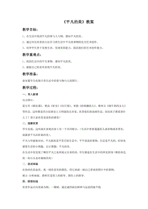 人教版四年級下冊美術平凡的美教案2.doc