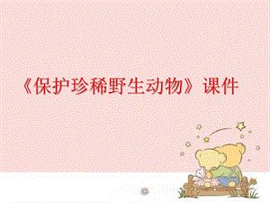人教版三年級下冊美術保護珍稀野生動物課件1.ppt