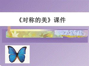 人教版四年級下冊美術《對稱的美》課件3.ppt