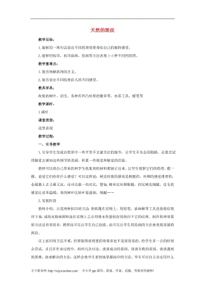 人教版三年級(jí)上冊(cè)美術(shù)第5課 天然的斑紋 教案1.doc