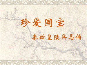 人教版四年級下冊美術《珍愛國寶——秦始皇陵及秦兵馬俑》課件1.ppt