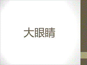 人美版一年級上冊美術《大眼睛》課件1.ppt
