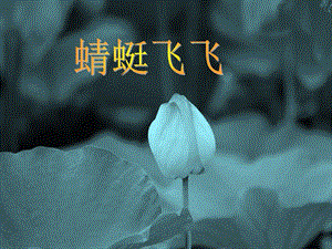 人教版二年級上冊美術(shù)《蜻蜓飛飛》課件2.ppt