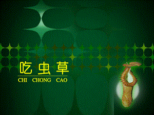 人美版二年級下冊美術《吃蟲草》課件3.ppt