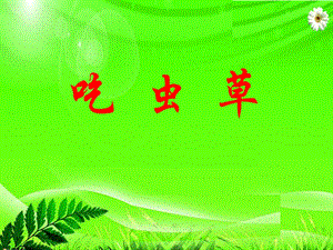 人美版二年級下冊美術《吃蟲草》課件2.ppt