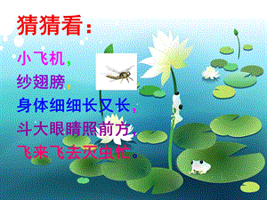 人教版二年級(jí)上冊(cè)美術(shù)《蜻蜓飛飛》課件3.ppt