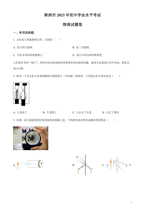 2023年湖南省株洲市中考物理試題（原卷版）.docx