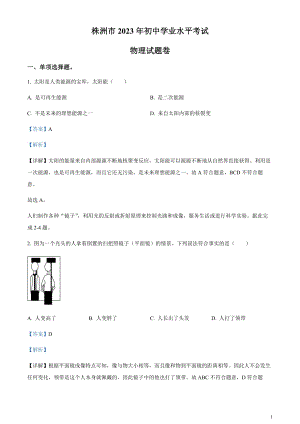 2023年湖南省株洲市中考物理試題（剖析版）.docx
