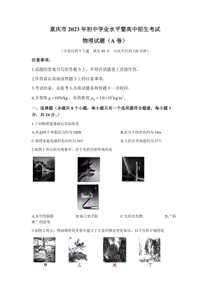 2023年重慶市中考物理試題（A卷）.docx