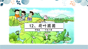 人教部編版一年級下冊語文12.荷葉圓圓課件.pptx