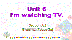 人教版七年級下冊英語Unit6 Section A (Grammar Focus-3c) 課件.ppt