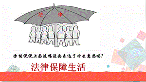 人教版七年級下冊道德與法治9.2法律保障生活 教學(xué)課件 課件.pptx