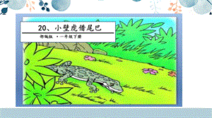 人教部編版一年級下冊語文20.小壁虎借尾巴課件.pptx