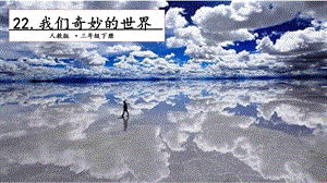 人教部編版三年級下冊語文22 我們的奇妙世界. 第一課時√ 課件.pptx