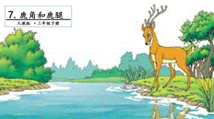 人教部編版三年級下冊語文7 鹿角和鹿腿. 第一課時 課件.pptx