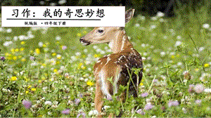 人教部編版四年級下冊語文習作二：我的奇思妙想課件.pptx