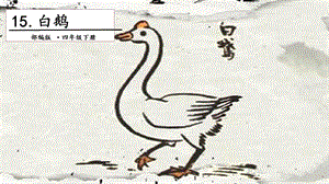 人教部編版四年級下冊語文15 白鵝. 第一課時 課件.pptx